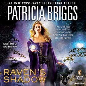 Raven's Shadow audiobook cover art