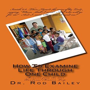 How to Examine Life Through One Child Audiobook By Rod Bailey cover art